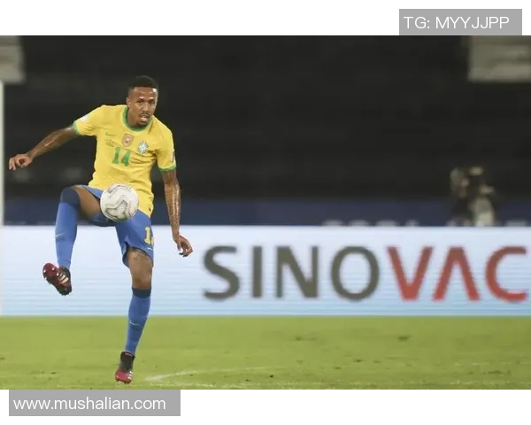 巴西日裔足球的崛起与文化交融探讨